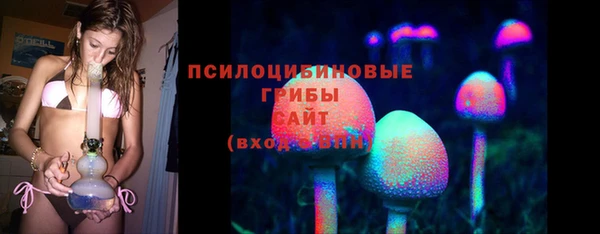 прущие крисы Алексеевка