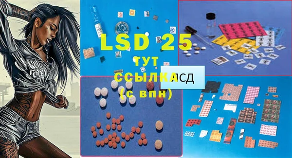 прущие крисы Алексеевка