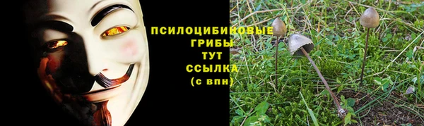 прущие крисы Алексин