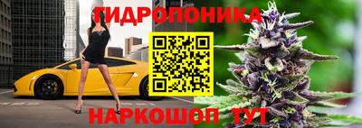 трава Кингисепп