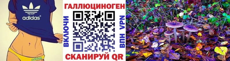 Псилоцибиновые грибы мухоморы  даркнет телеграм  Якутск 