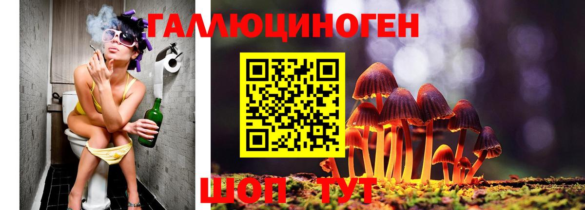 как найти закладки  Галлюциногенные грибы Psilocybine cubensis  Вход с VPN  Псилоцибиновые грибы MAGIC MUSHROOMS  Якутск 